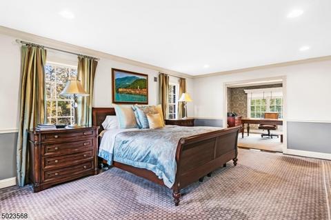 55 Lyons Pl, Basking Ridge, NJ 07920 photo 11