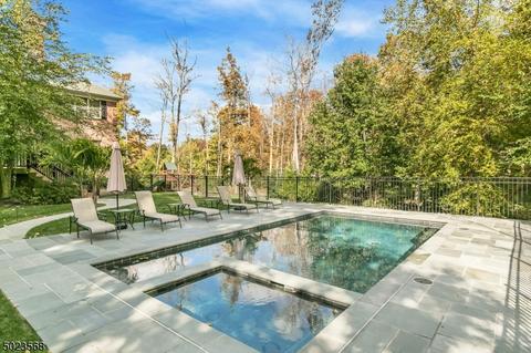 55 Lyons Pl, Basking Ridge, NJ 07920 photo 24