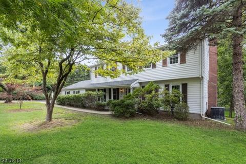 453 Paramus Rd, Paramus, NJ 07652 photo 22
