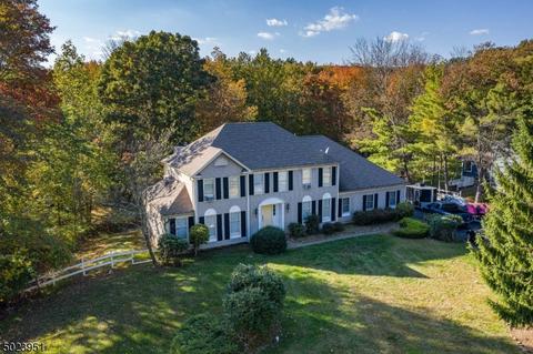 20 Cromwell Dr, Mendham, NJ 07945 photo 2