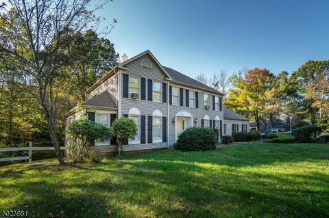 20 Cromwell Dr, Mendham, NJ 07945 photo 1