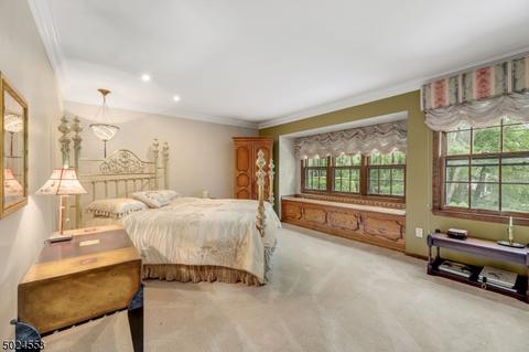 10 Galway Dr, Mendham, NJ 07945 photo 15