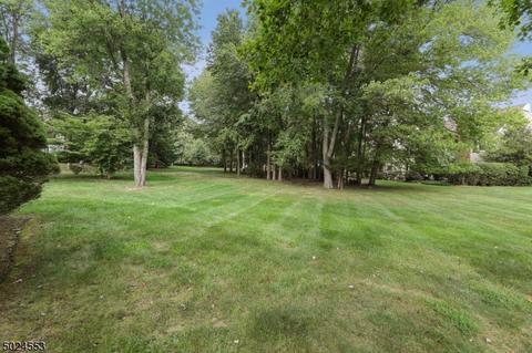 10 Galway Dr, Mendham, NJ 07945 photo 22