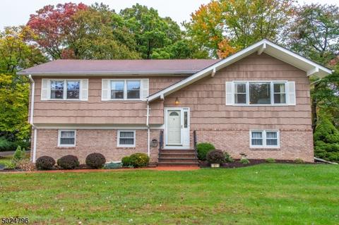 61 Beech Rd, Randolph, NJ 07869 photo 1