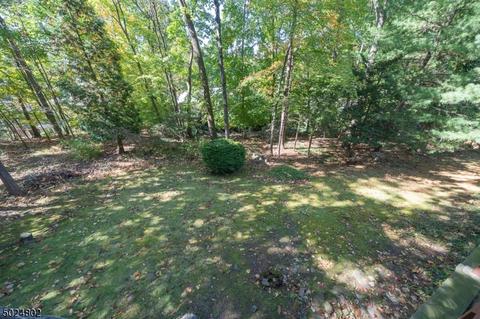 36 Stoneridge Rd, Summit, NJ 07901 photo 5