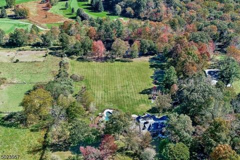20 Corey Ln, Mendham, NJ 07945 photo 25