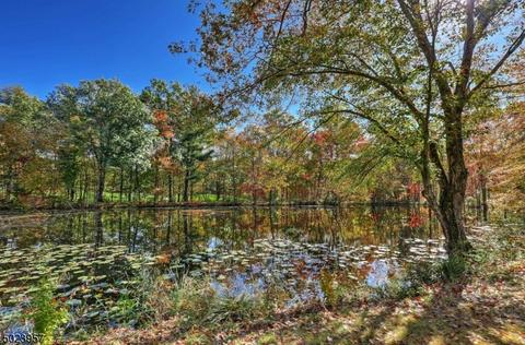 20 Corey Ln, Mendham, NJ 07945 photo 23