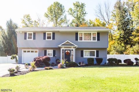 16 Brookside Dr, Mount Olive Twp., NJ 07828 photo 1