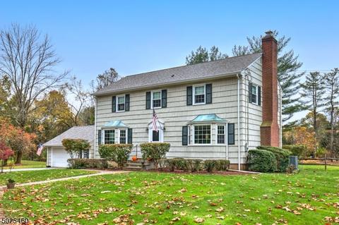 115 Willow Dr, Bedminster, NJ 07921 photo 1