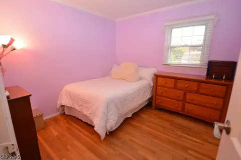 4 Meadow Dr, Dover, NJ 07801 photo 17