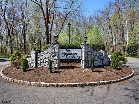 11 Garden Ct, Succasunna, NJ 07876 photo 17