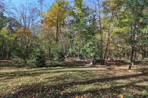 252 Spring Ridge Dr, Berkeley Heights, NJ 07922 photo 25