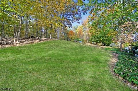 3 Larson Ln, Warren, NJ 07059 photo 25