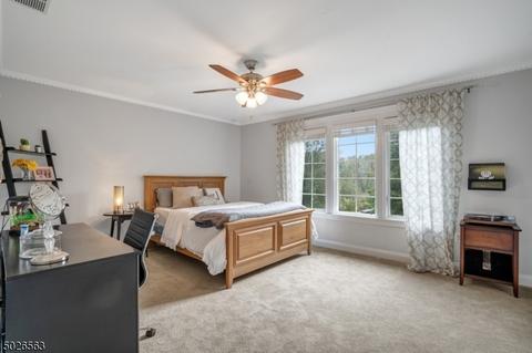 14 Paddock Ct, Basking Ridge, NJ 07920 photo 12
