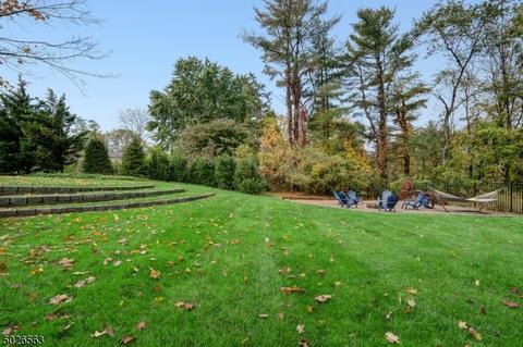 14 Paddock Ct, Basking Ridge, NJ 07920 photo 20