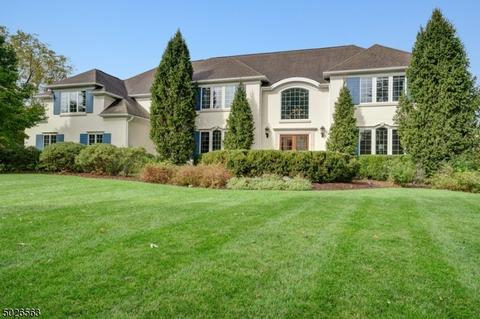 14 Paddock Ct, Basking Ridge, NJ 07920 photo 1
