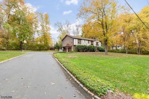 89 Summit Ave, Gillette, NJ 07933 photo 23