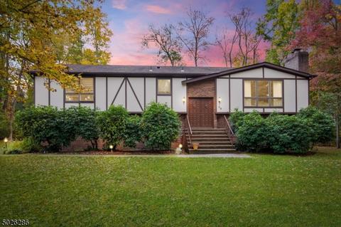 89 Summit Ave, Gillette, NJ 07933 photo 1