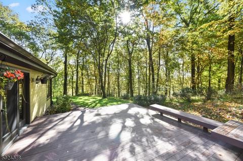 24 Cramer Dr, Chester, NJ 07930 photo 20