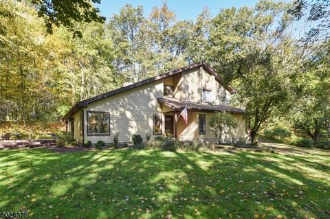 24 Cramer Dr, Chester, NJ 07930 photo 1
