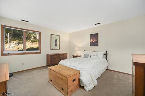 24 Cramer Dr, Chester, NJ 07930 photo 11