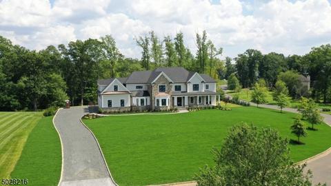 27 Raspberry Trl, Warren, NJ 07059 photo 17