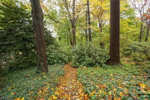50 Rowan Rd, Summit, NJ 07901 photo 19