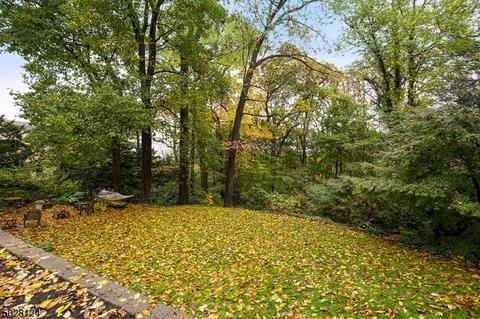 50 Rowan Rd, Summit, NJ 07901 photo 18