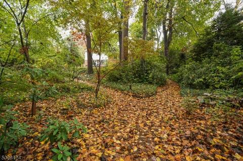 50 Rowan Rd, Summit, NJ 07901 photo 17