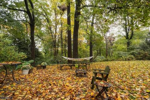 50 Rowan Rd, Summit, NJ 07901 photo 16