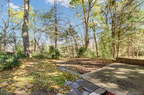 222 Talmage Rd, Mendham, NJ 07945 photo 19