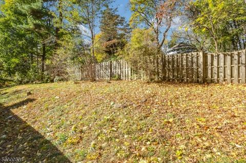 222 Talmage Rd, Mendham, NJ 07945 photo 20