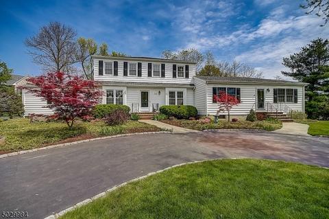 31 Nancy Pl, Berkeley Heights, NJ 07922 photo 1
