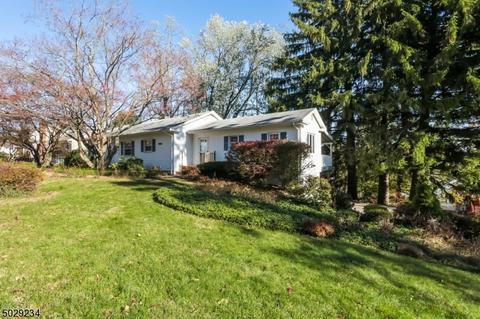 8 Davis Ave, Randolph, NJ 07869 photo 22