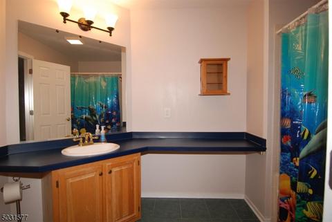 8 Rainier Ct, Hackettstown, NJ 07840 photo 12