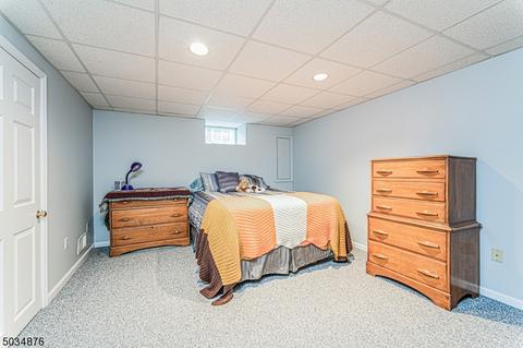 28 Wilkinson Rd, Randolph, NJ 07869 photo 17