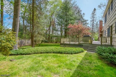 1 Conifer Dr, Mendham, NJ 07945 photo 1
