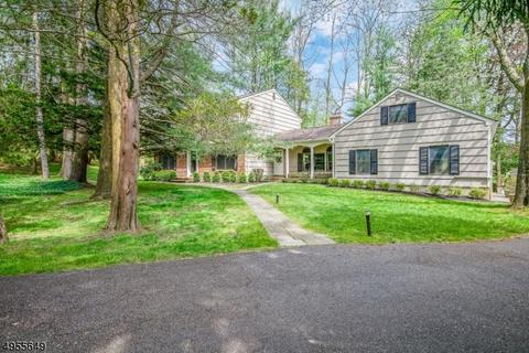 1 Conifer Dr, Mendham, NJ 07945 photo 2