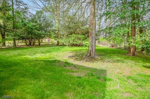 1 Conifer Dr, Mendham, NJ 07945 photo 17