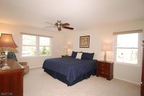 15 Heather Ct, Dover, NJ 07801 photo 9