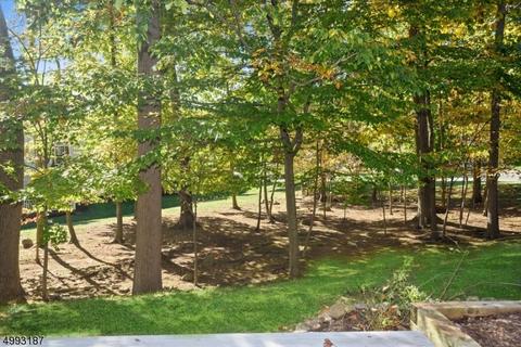 7 Aberdeen Dr, Mendham, NJ 07945 photo 22