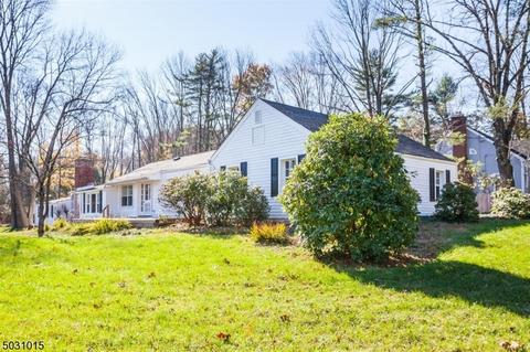 143 Mendham Rd E, Mendham, NJ 07945 photo 25