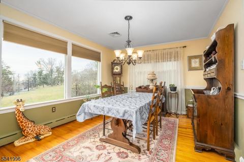 28 Fox Grape Rd, Flemington, NJ 08822 photo 8