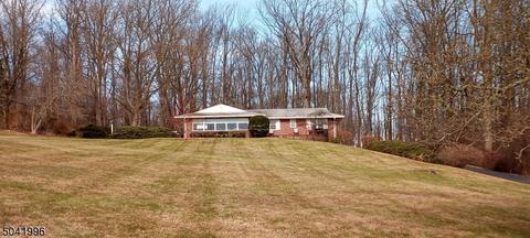 28 Fox Grape Rd, Flemington, NJ 08822 photo 20