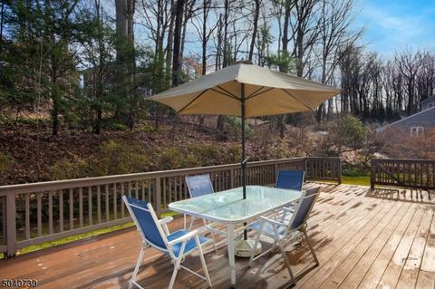 85 Winchip Rd, Summit, NJ 07901 photo 18
