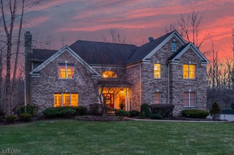 2 Shadowbrook Way, Mendham, NJ 07945 photo 1