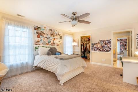 2 Shadowbrook Way, Mendham, NJ 07945 photo 17