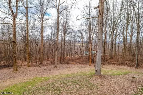 14 Crabapple Cv, Hampton, NJ 08827 photo 25