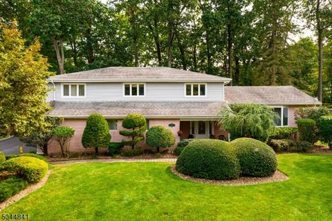 45 Mandon Dr, Wayne, NJ 07470 photo 1