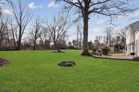 55 Fairview Dr, Basking Ridge, NJ 07920 photo 23